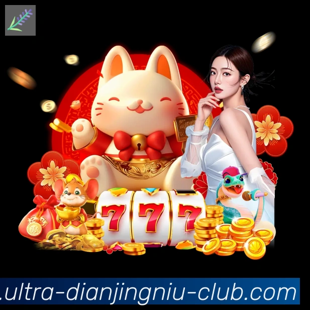 未来规划